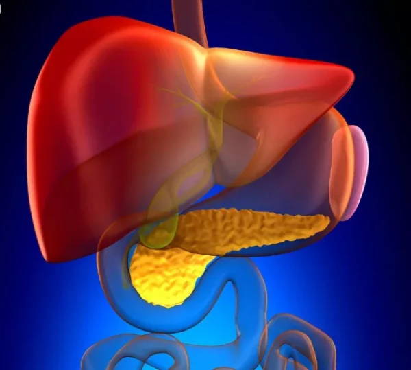 Liver Function