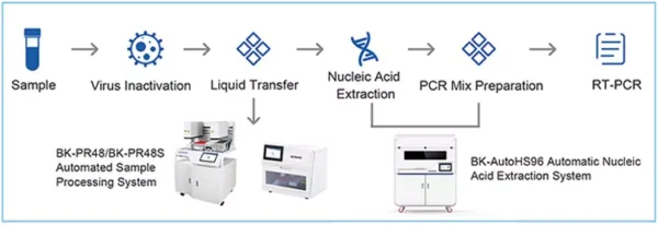 Automated Sample Processing System