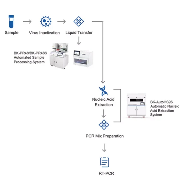 Automated Sample Processing System