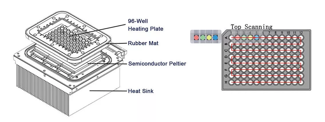 Fluorescent Quantitative PCR Detection System LEIA-X4 LEIA-X6