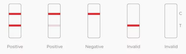 SARS-CoV-2 Antigen Test Kit