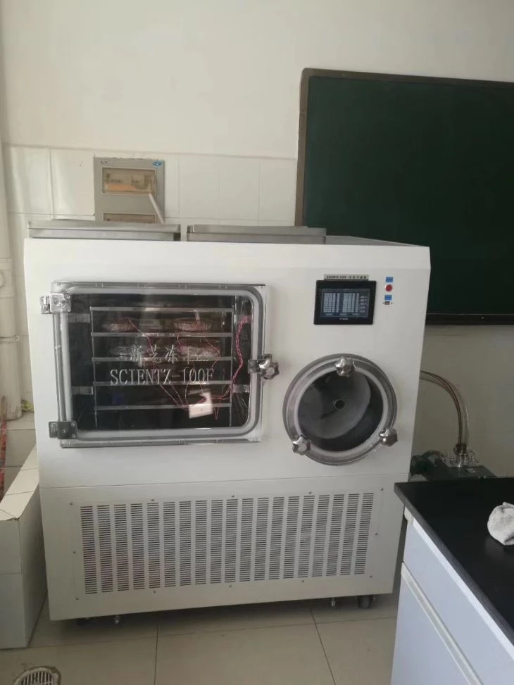 Lab Freeze Dryer For Vaccine